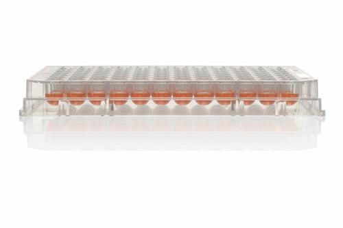 174925 | MW 96U Nunclon Sphera Packed 1 8
